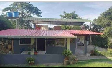 VENDO FINCA EN FUSAGASUGA VEREDA LA TRINIDAD