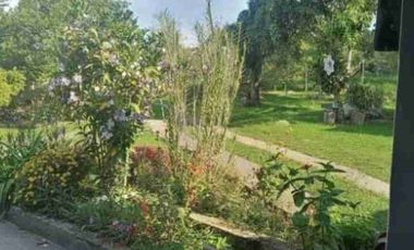 VENDO FINCA EN FUSAGASUGA VEREDA LA TRINIDAD