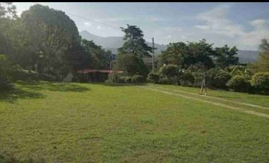 VENDO FINCA EN FUSAGASUGA VEREDA LA TRINIDAD