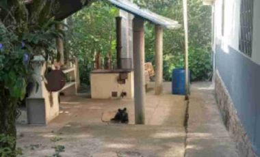 VENDO FINCA EN FUSAGASUGA VEREDA LA TRINIDAD