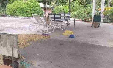 VENDO FINCA EN FUSAGASUGA VEREDA LA TRINIDAD