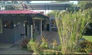 VENDO FINCA EN FUSAGASUGA VEREDA LA TRINIDAD