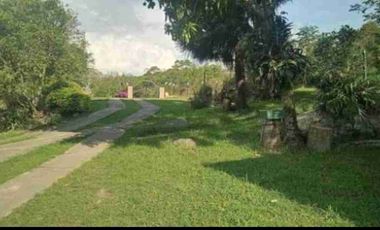VENDO FINCA EN FUSAGASUGA VEREDA LA TRINIDAD