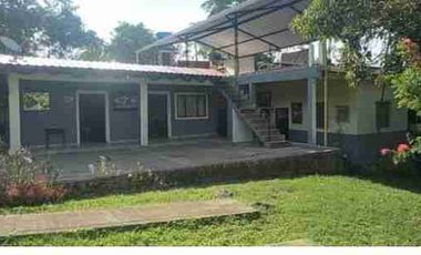 VENDO FINCA EN FUSAGASUGA VEREDA LA TRINIDAD