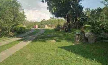 VENDO FINCA EN FUSAGASUGA VEREDA LA TRINIDAD
