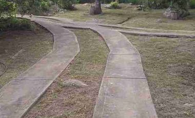VENDO FINCA EN FUSAGASUGA VEREDA LA TRINIDAD