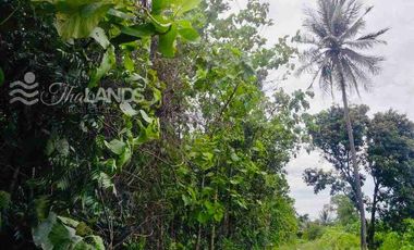 🏞️ Land for Sale – Nearly 5 Rai, Riverfront on the Khwae Noi River 🌊 with 45m Concrete Road Frontage, Only 20 Minutes from Kanchanaburi City! 🚖