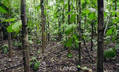 🏞️ Land for Sale – Nearly 5 Rai, Riverfront on the Khwae Noi River 🌊 with 45m Concrete Road Frontage, Only 20 Minutes from Kanchanaburi City! 🚖