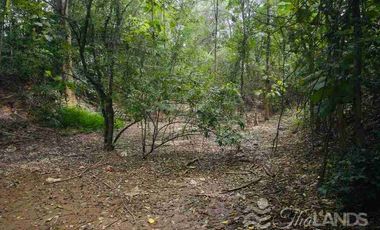 🏞️ Land for Sale – Nearly 5 Rai, Riverfront on the Khwae Noi River 🌊 with 45m Concrete Road Frontage, Only 20 Minutes from Kanchanaburi City! 🚖