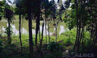 🏞️ Land for Sale – Nearly 5 Rai, Riverfront on the Khwae Noi River 🌊 with 45m Concrete Road Frontage, Only 20 Minutes from Kanchanaburi City! 🚖