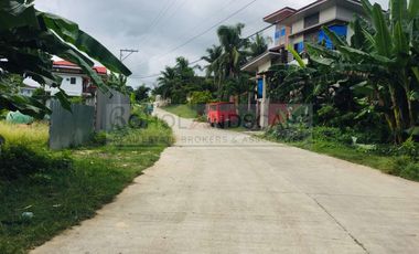 Prime Commercial / Residential Lot for Sale in Bool, Tagbilaran City, Bohol