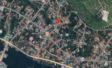 Prime Commercial / Residential Lot for Sale in Bool, Tagbilaran City, Bohol