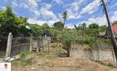 Prime Commercial / Residential Lot for Sale in Bool, Tagbilaran City, Bohol