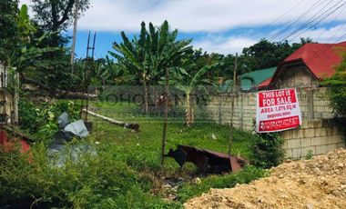 Prime Commercial / Residential Lot for Sale in Bool, Tagbilaran City, Bohol