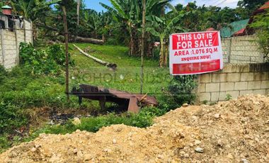 Prime Commercial / Residential Lot for Sale in Bool, Tagbilaran City, Bohol