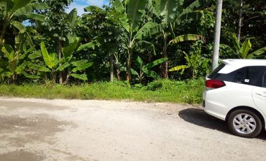 38500 M2 Tanah Hook di Pinggir Jalan Raya Pamucatan (Mainroad) Padalarang.