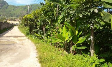 38500 M2 Tanah Hook di Pinggir Jalan Raya Pamucatan (Mainroad) Padalarang.
