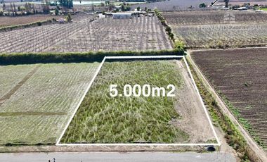 SAN ESTEBAN - VENDE TERRENO DE 5.000m2 - CALLEJÓN SAN BELISARIO