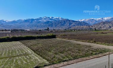 SAN ESTEBAN - VENDE TERRENO DE 5.000m2 - CALLEJÓN SAN BELISARIO