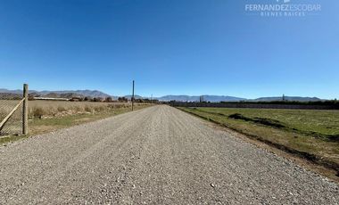 SAN ESTEBAN - VENDE TERRENO DE 5.000m2 - CALLEJÓN SAN BELISARIO