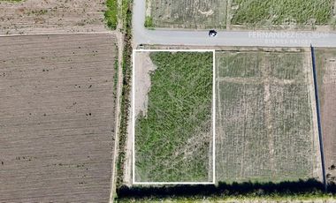 SAN ESTEBAN - VENDE TERRENO DE 5.000m2 - CALLEJÓN SAN BELISARIO