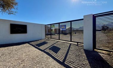 SAN ESTEBAN - VENDE TERRENO DE 5.000m2 - CALLEJÓN SAN BELISARIO