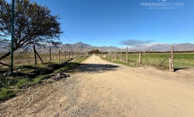 SAN ESTEBAN - VENDE TERRENO DE 5.000m2 - CALLEJÓN SAN BELISARIO