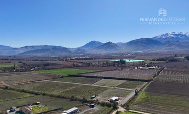 SAN ESTEBAN - VENDE TERRENO DE 5.000m2 - CALLEJÓN SAN BELISARIO