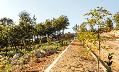 LOTE DE TERRENO DE 300 MT2 EN LA TRANQWUILIDAD DE LA NATURALEZA