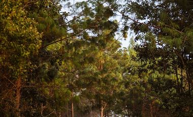LOTE DE TERRENO DE 300 MT2 EN LA TRANQWUILIDAD DE LA NATURALEZA