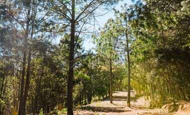 LOTE DE TERRENO DE 300 MT2 EN LA TRANQWUILIDAD DE LA NATURALEZA