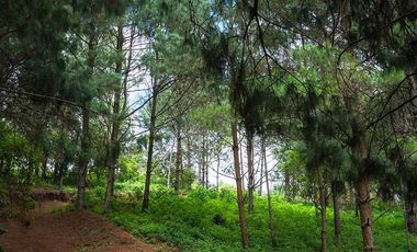LOTE DE TERRENO DE 300 MT2 EN LA TRANQWUILIDAD DE LA NATURALEZA