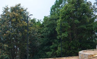 LOTE DE 300 MT2 CON 7 ARBOLES DE 15 MT DE ALTURA, CON NATURALEZA DE LA MANO