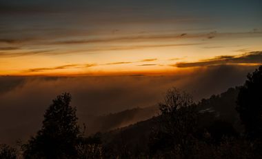 LOTE DE 300 MT2 CON 10 ARBOLES DE 15 MT DE ALTURA, CON NATURALEZA DE LA MANO