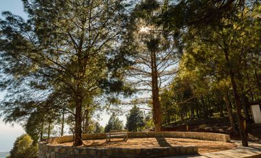 LOTE DE 300 MT2 CON 10 ARBOLES DE 15 MT DE ALTURA, CON NATURALEZA DE LA MANO