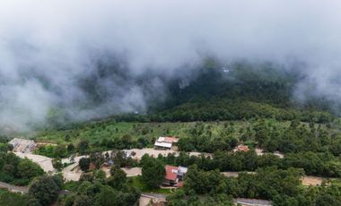 LOTE DE 300 MT2 CON  9 ARBOLES DE 15 MT DE ALTURA, CON NATURALEZA DE LA MANO