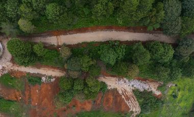 LOTE DE 300 MT2 CON  9 ARBOLES DE 15 MT DE ALTURA, CON NATURALEZA DE LA MANO