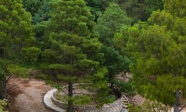 LOTE DE 348 MT2 CON 11 ARBOLES DE 15 MT DE ALTURA, CON NATURALEZA DE LA MANO