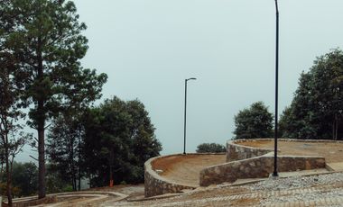 LOTE DE 200 MT2 CON 5 ARBOLES DE 12 MT DE ALTURA, CON NATURALEZA DE LA MANO