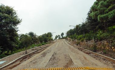 LOTE DE 200 MT2 CON 5 ARBOLES DE 12 MT DE ALTURA, CON NATURALEZA DE LA MANO