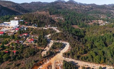 LOTE DE 300 MT2 CON 7 ARBOLES DE 15 MT DE ALTURA, CON NATURALEZA DE LA MANO