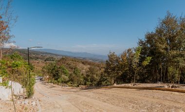 LOTE DE 300 MT2 CON 7 ARBOLES DE 15 MT DE ALTURA, CON NATURALEZA DE LA MANO