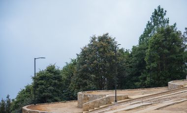 LOTE DE 300 MT2 CON 7 ARBOLES DE 15 MT DE ALTURA, CON NATURALEZA DE LA MANO