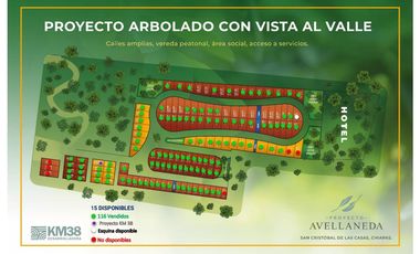 LOTE DE 300 MT2 CON 7 ARBOLES DE 15 MT DE ALTURA, CON NATURALEZA DE LA MANO