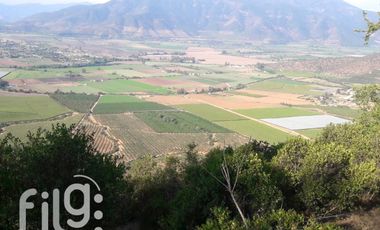 Venta Terreno 17 HA Melipilla con Potencial Oportunidad de Inversión