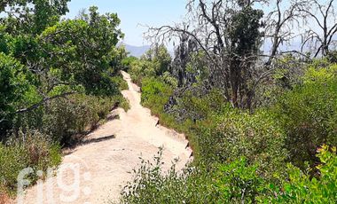 Venta Terreno 17 HA Melipilla con Potencial Oportunidad de Inversión