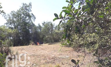 Venta Terreno 17 HA Melipilla con Potencial Oportunidad de Inversión