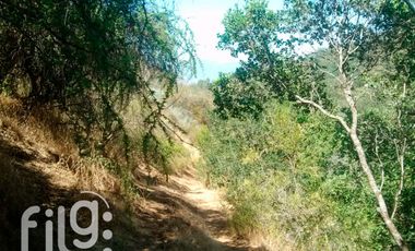 Venta Terreno 17 HA Melipilla con Potencial Oportunidad de Inversión