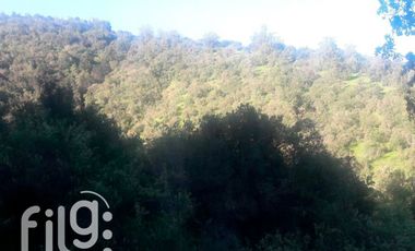 Venta Terreno 17 HA Melipilla con Potencial Oportunidad de Inversión