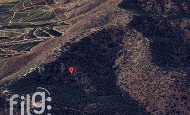 Venta Terreno 17 HA Melipilla con Potencial Oportunidad de Inversión